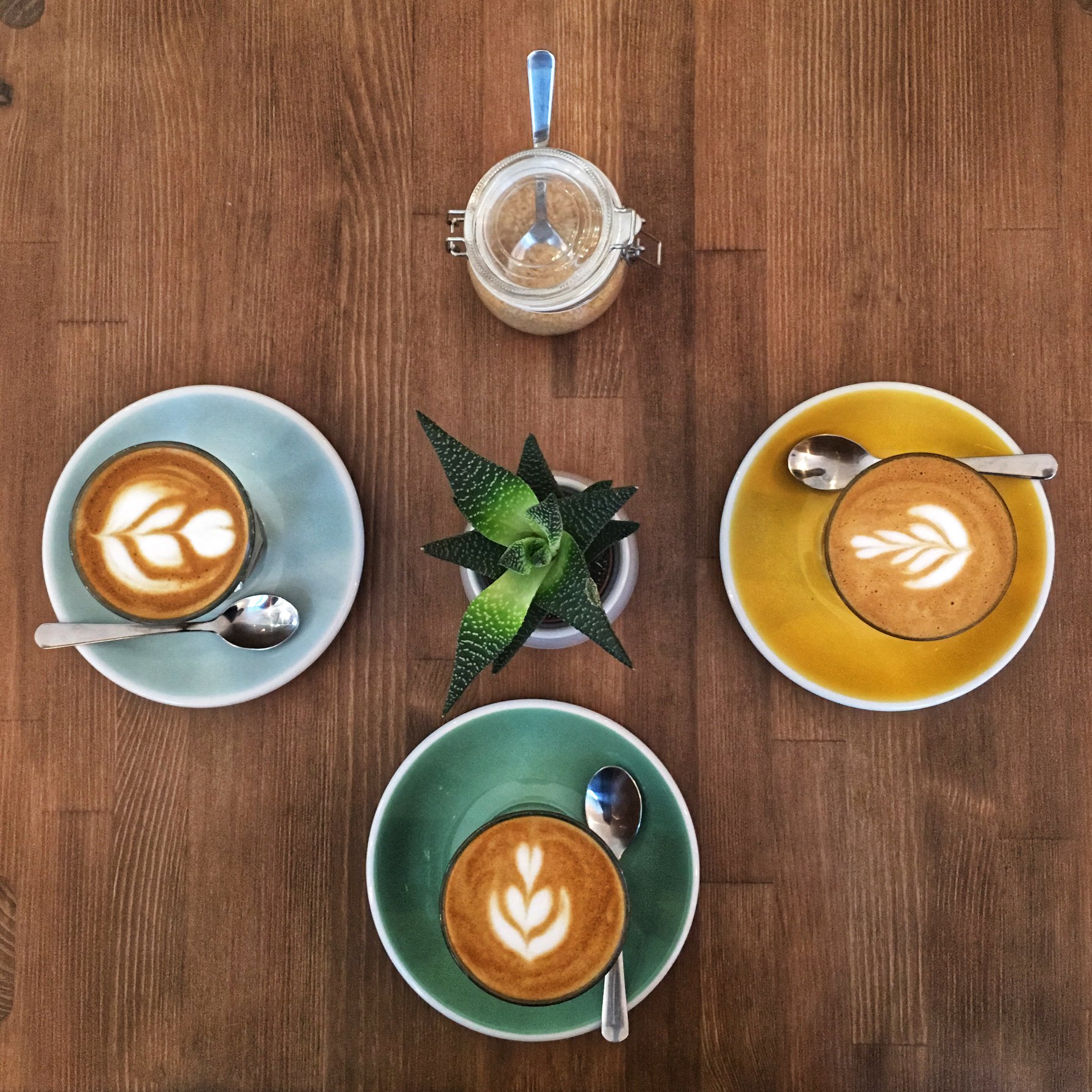 Coffee and plants